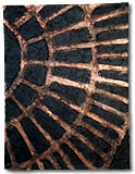 Tree Grate