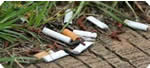 Prevent Cigarette Litter